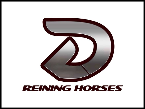 LD Reining Horses