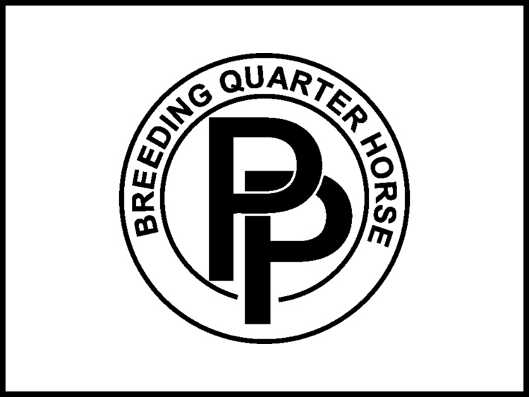 PP Quarter Horse