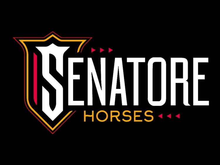 Senatore Horses