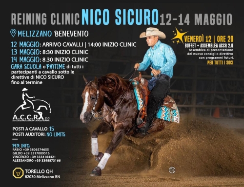 Reining Clinic con NICO SICURO del 12-14 Maggio 2023!