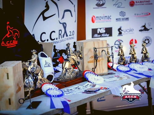 Risultati domenica NRHA Futurity Campano e 4 show ACCR-IRHA-FISE-NRHA 2026