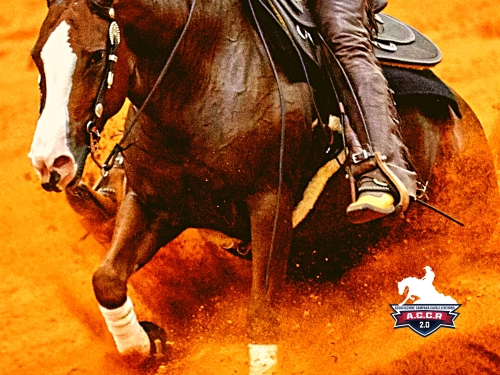 Score Card sabato NRHA Futurity Campano e 4 show ACCR-IRHA-FISE-NRHA 2026